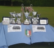 MBA CUP 2010-1