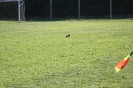 MBA CUP 2011-104
